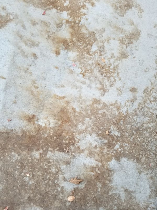 Concrete Staining