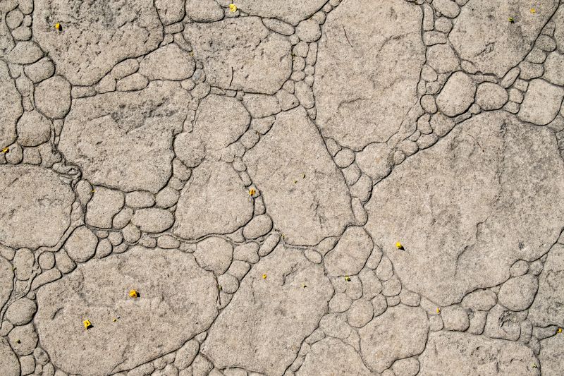 Decorative Concrete Repair in Aurora, CO